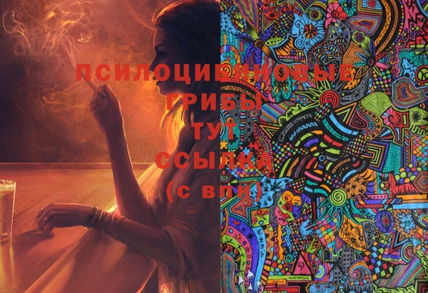 прущие крисы Россошь