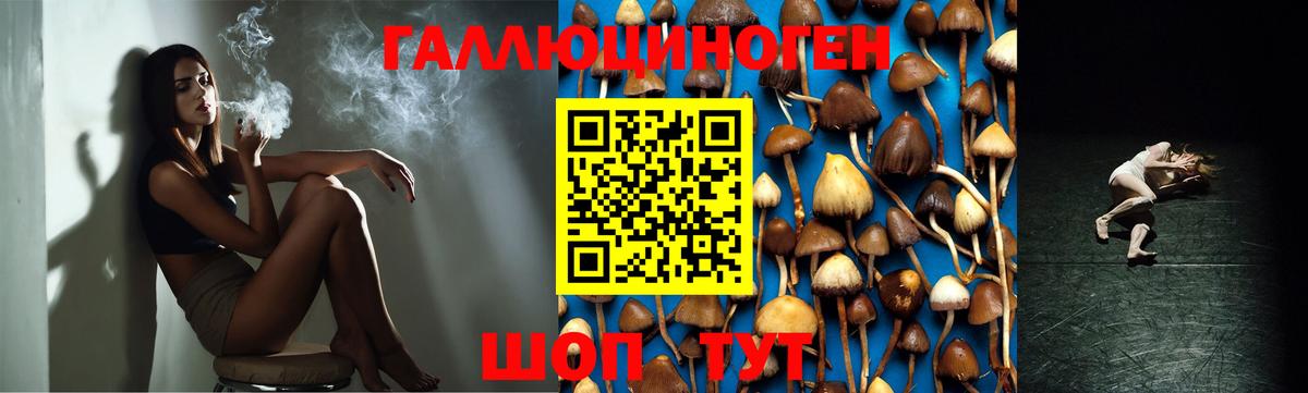 Галлюциногенные грибы Cubensis Тара