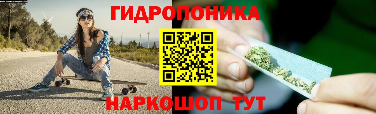 Бошки марихуана сатива Тара